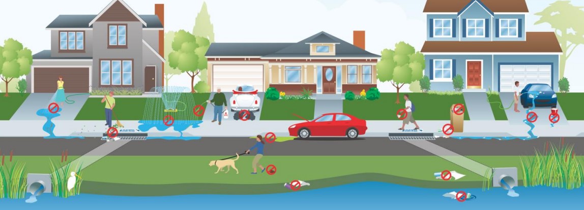 A diagram showing different ways that pollutants get into the storm drain from normal household activities such as washing a car, walking a dog, changing automotive fluids, and cleaning a front yard.