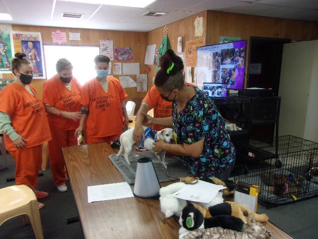 A group of inmates at Elwood Correctional Facility observe instructor Shaelyn St. Onge-Cole demonstrate veterinary techniques involving holding a small white dog.
