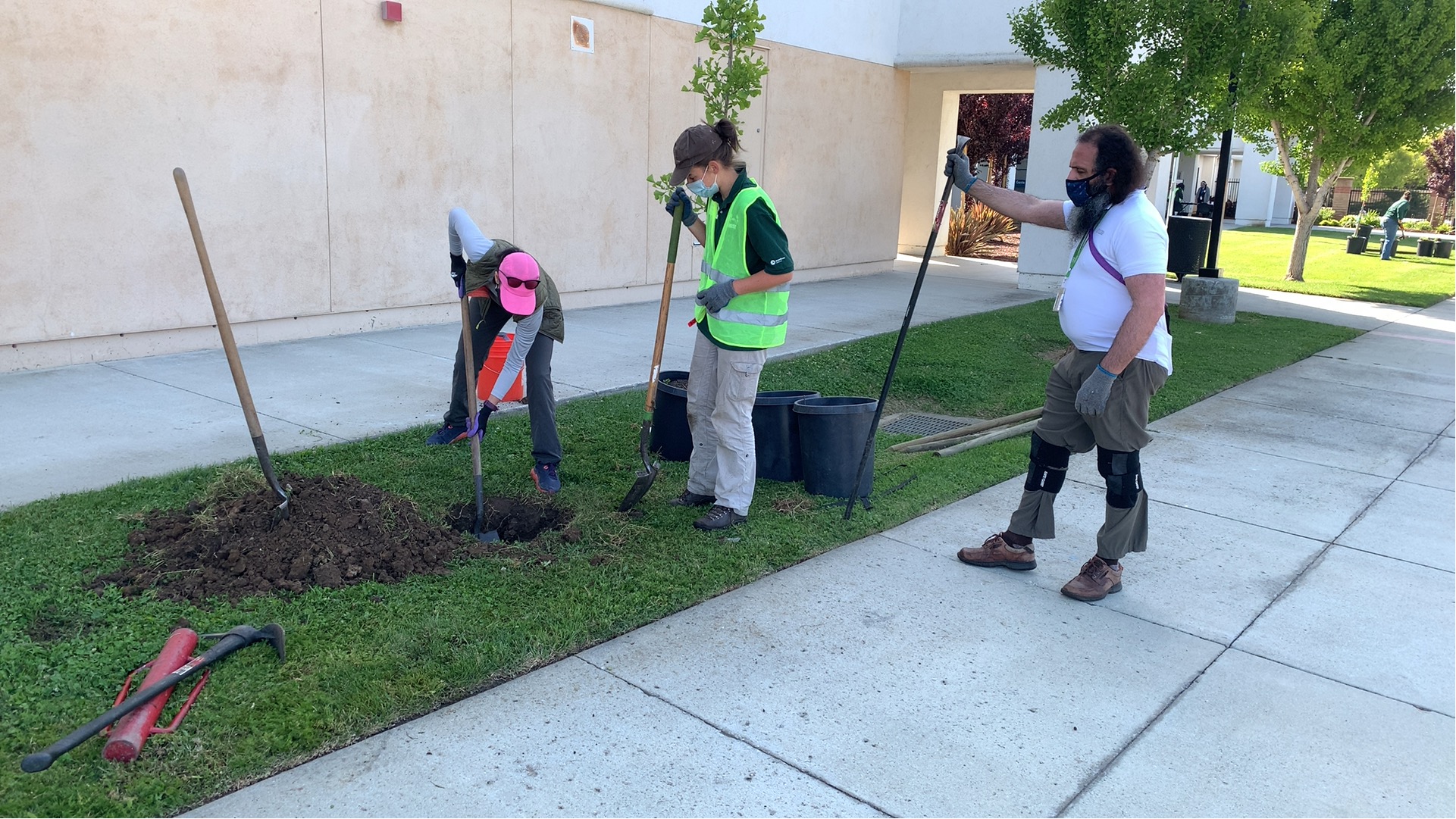 Staff digging a hole to plant trees for Arbor Day