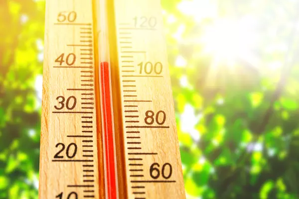 Illustration showing a thermometer with sunlight and vegetation in the background.