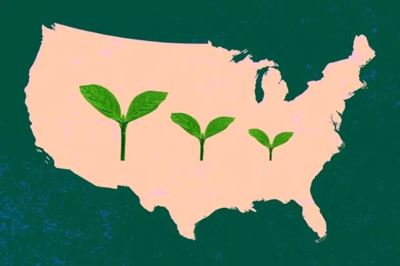 collage of United States shape with plant sprouts