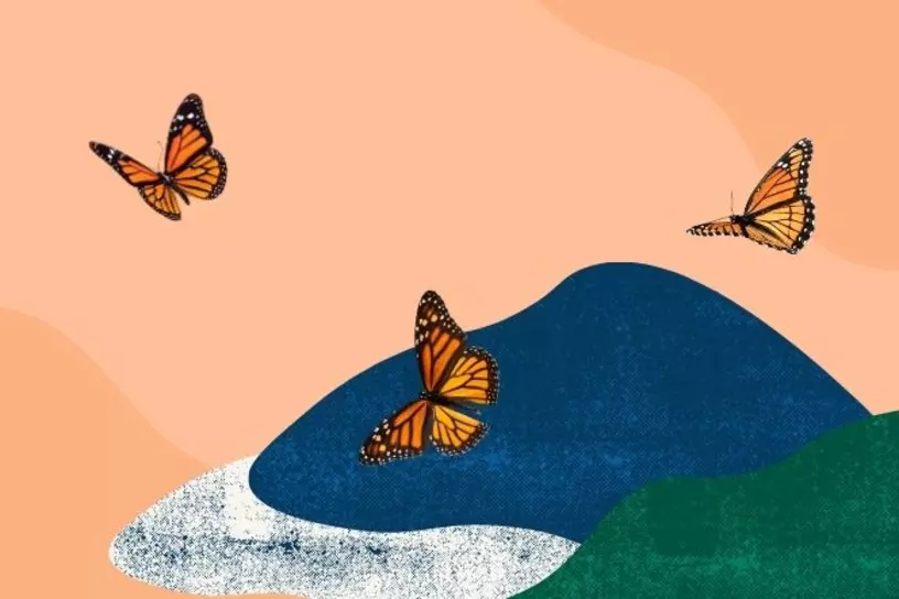 Monarch butterflies and illustrated hills