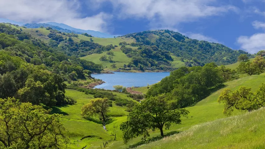Lush green vegetation in the foreground with Calero reservoir and a mountain in the background