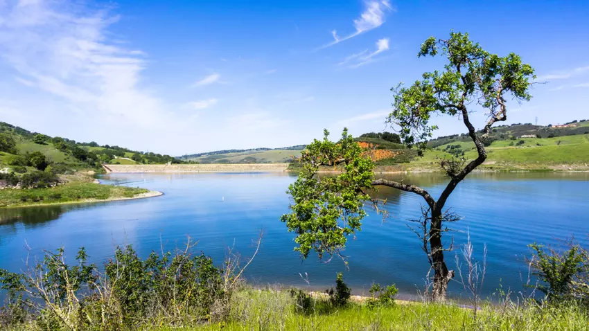 Calero reservoir with green vegetation, trees, and a clear sky