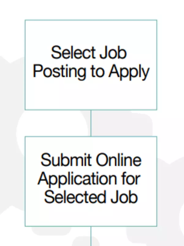 Job Application Process graphic