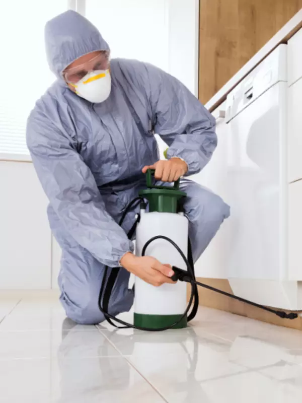 A pest control operator spraying solution in a kitchen