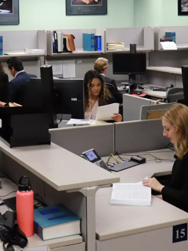 12 interns working at their cubicles in an office