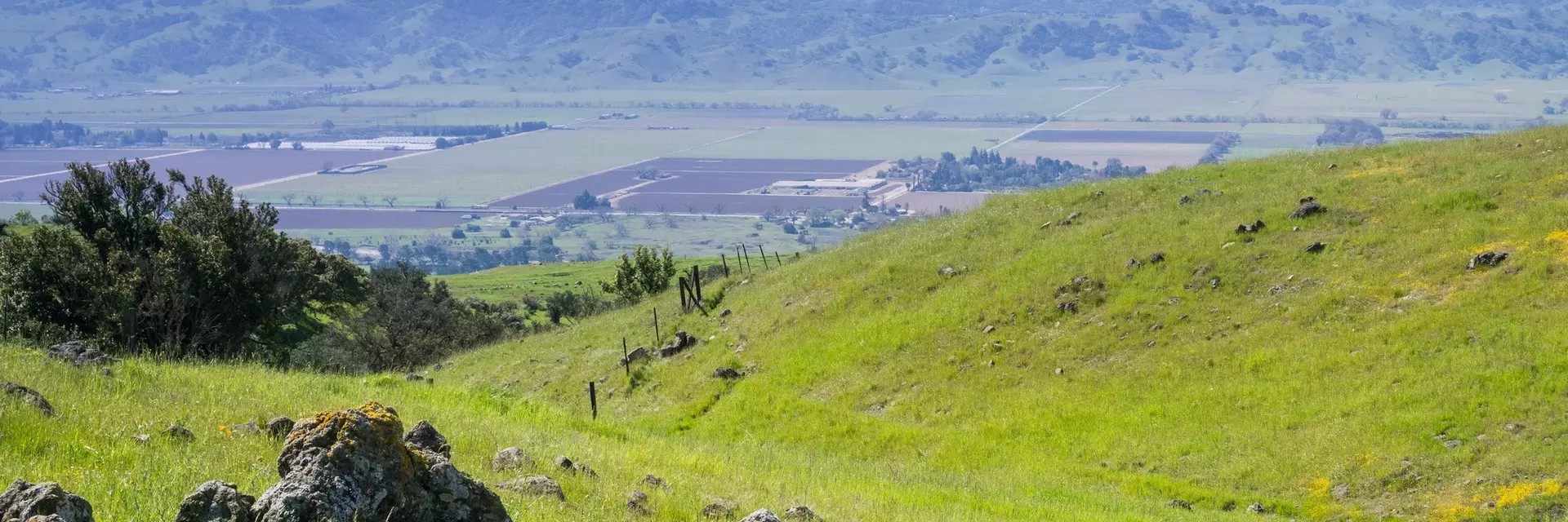 green hills in south coyote valley