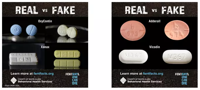 FentFacts - Real vs. Fake
