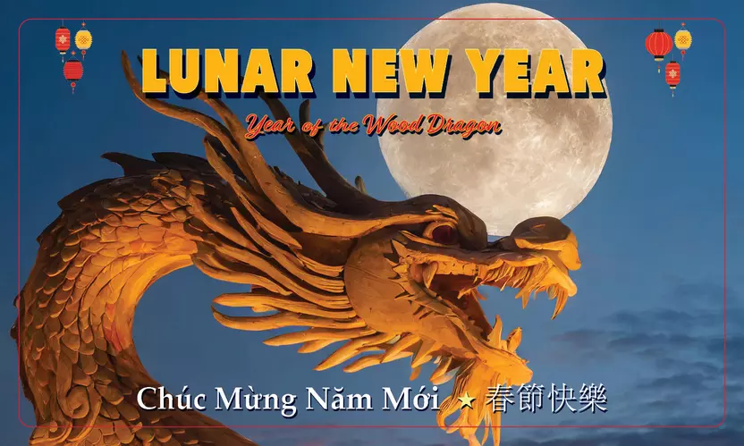 lunar new year 2024 year of the wood dragon 3x5 graphic