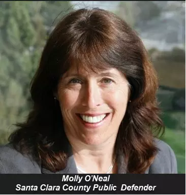 Molly O'Neal, Santa Clara County Public Defender