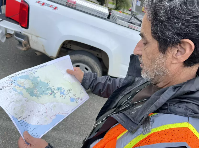 A vector control manager looks at a map.