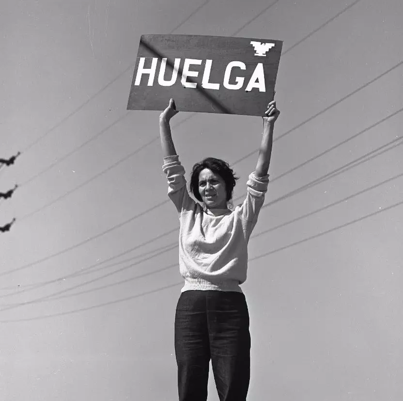 Dolores Huerta holds "Huelga" sign at the Delano Grape Strikes in September 1965. The famous photo by Harvey Wilson Richards is one of the images on display at the traveling Smithsonian exhibit, Dolores Huerta: Revolution in the Fields.