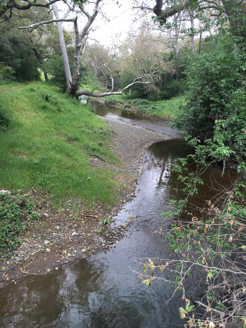 Image of San Martin Creek 