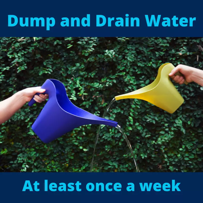 Dump and Drain Water at least once a week; people pour water from watering cans