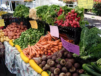 A lush display of fresh vegetables