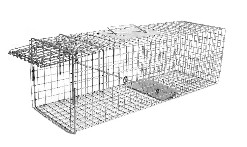 photo of metal humane cat trap, 