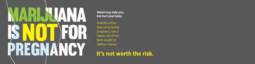 Marijuana is not for pregnancy banner